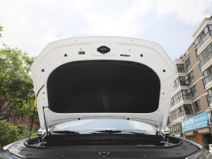 2021款1.5T 自动精英型 其它