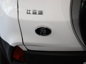 2021款一生一世版 细节外观