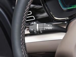 2021EV (zhn)m(x)A п؅^(q)