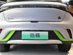 2021款405km 时尚版 细节外观