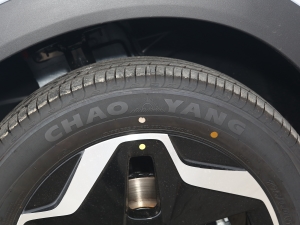 2021款405km 自由版 轮胎品牌