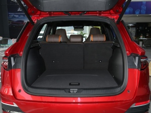 2022DM-i 110km ŞPro g