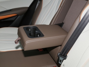 2022DM-i 110km ŞPro g