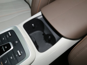 2022DM-i 110km ŞPro g