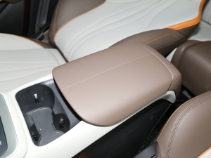 2022DM-i 110km ŞPro g