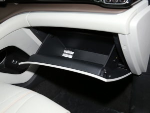 2022DM-i 110km ŞPro g