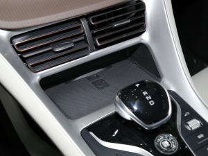 2022DM-i 110km ŞPro g