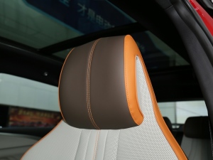 2022DM-i 110km ŞPro g