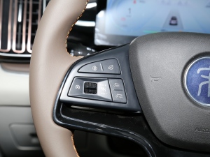 2022DM-i 110km ŞPro п؅^