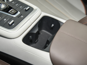 2022DM-i 51km F ǰű