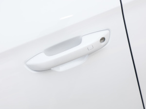 2022款DM-i 110km 旗舰型 主驾门拉手