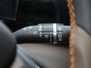 2022DM-i 110km Ş п؅^(q)