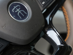 2022DM-i 110km Ş п؅^(q)