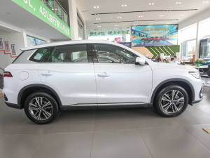 2022DM-i 51km A ȣң