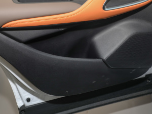 2022DM-i 51km A T(ch)g