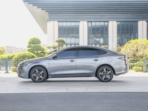 2022DM-i 120KM Ş ȣ