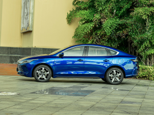 2022DM-i 120KM Ş ȣ