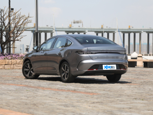 2022DM-i 120KM Ş 45