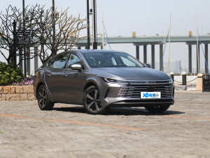 2022DM-i 120KM Ş ǰ45