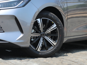 2022DM-i 120KM Ş ݆Ȧ