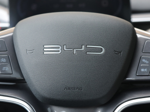 2022DM-i 120KM Ş п؅^