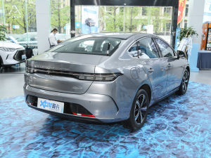 2022DM-i 55KM F Һ45