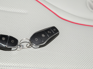 2022DM-i 55KM F ܇耳