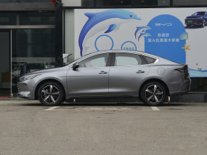 2022DM-i 120KM F (c)