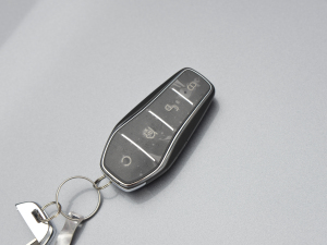 2022DM-i 120KM F ܇耳