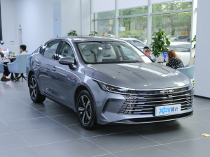 2022DM-i 55KM A ǰ45