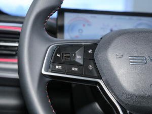 2022DM-i 55KM A п؅^(q)