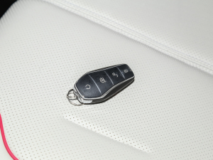 2022DM-i 55KM A ܇耳