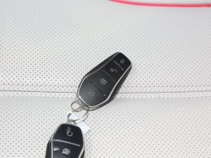 2022DM-i 55KM m ܇耳