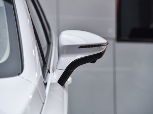 2022DM-i 105KM  (x)(ji)^