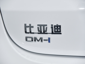 2022DM-i 105KM  (x)(ji)^