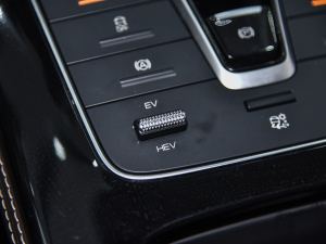 2022DM-i 105KM  п؅^