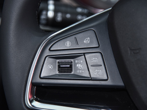 2022DM-i 105KM  п؅^