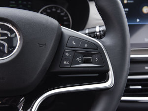 2022DM-i 105KM s п؅^