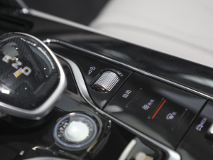 2022EV 730km  {(dio)(ji)