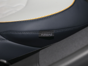 2022EV 730km  п؅^(q)