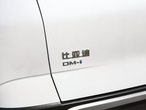2023DM-i 100KM F ^