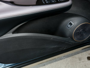 2023DM-i 100KM Ş ǰTg