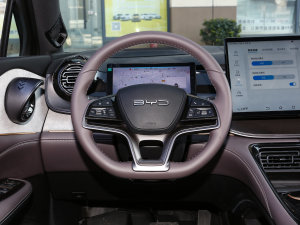 2023款DM-i 100KM 旗舰型 方向盘