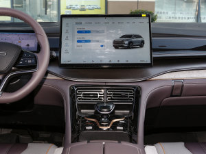 2023DM-i 100KM Ş п_