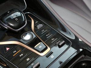 2023DM-i 100KM Ş {(dio){(dio)(ji)