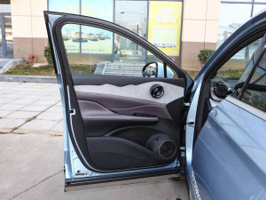 2023DM-i 100KM Ş {λ܇T