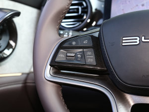 2023DM-i 100KM Ş п؅^