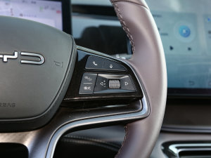 2023DM-i 100KM Ş п؅^