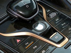 2023DM-i 100KM Ş п؅^