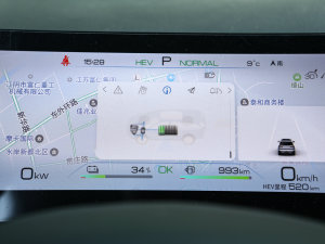 2023DM-i 100KM Ş п؅^